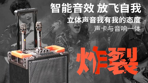 爵士龍F(tuán)110音響，直播與聚會(huì)的首選！